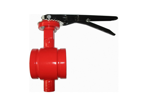 gate valve globe valve
